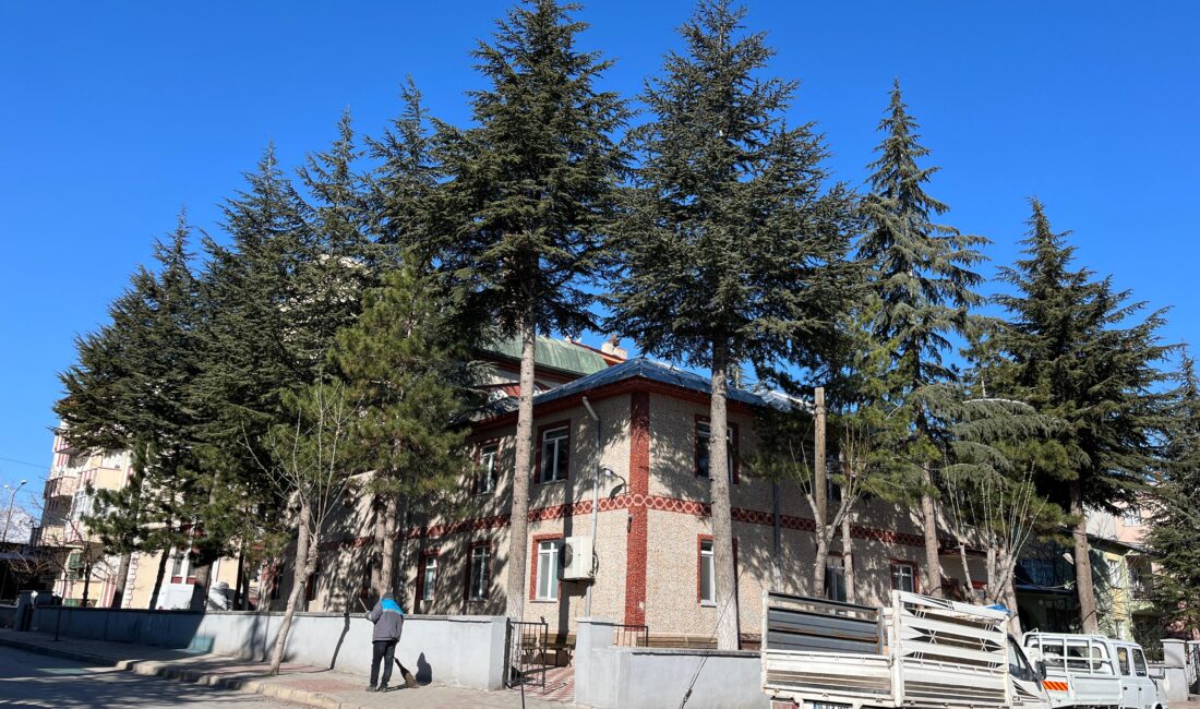 Cami derneğinden ağaç katliamı isteği, müftülük ve orman işletmeden geri