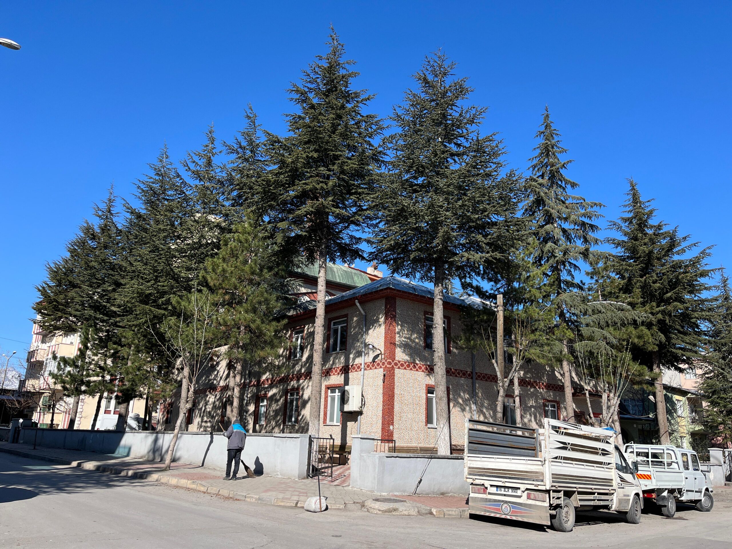 Cami derneğinden ağaç katliamı isteği, müftülük ve orman işletmeden geri