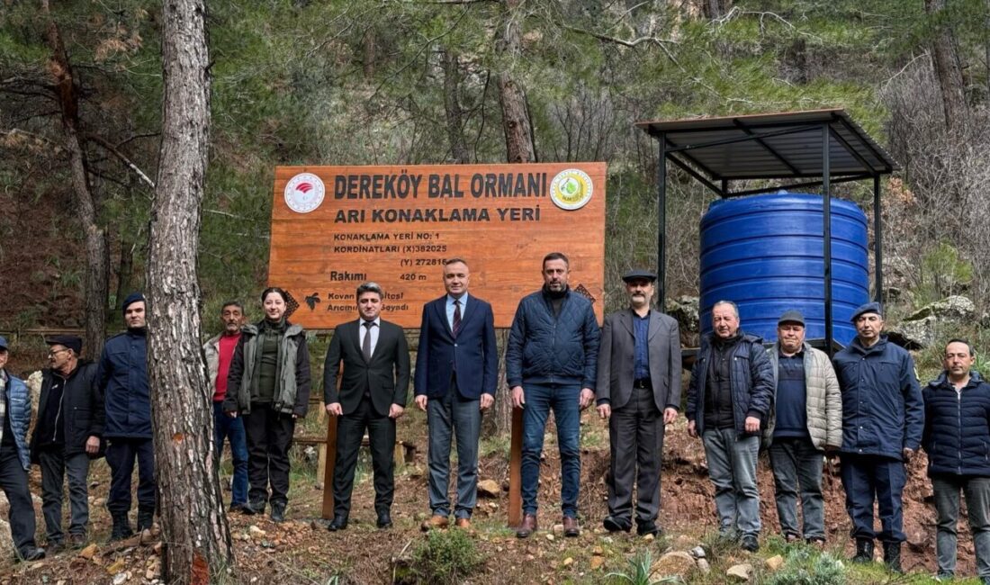 Tarım ve Orman Bakanlığınca hayata geçirilen "Bal Ormanı Eylem Planı"