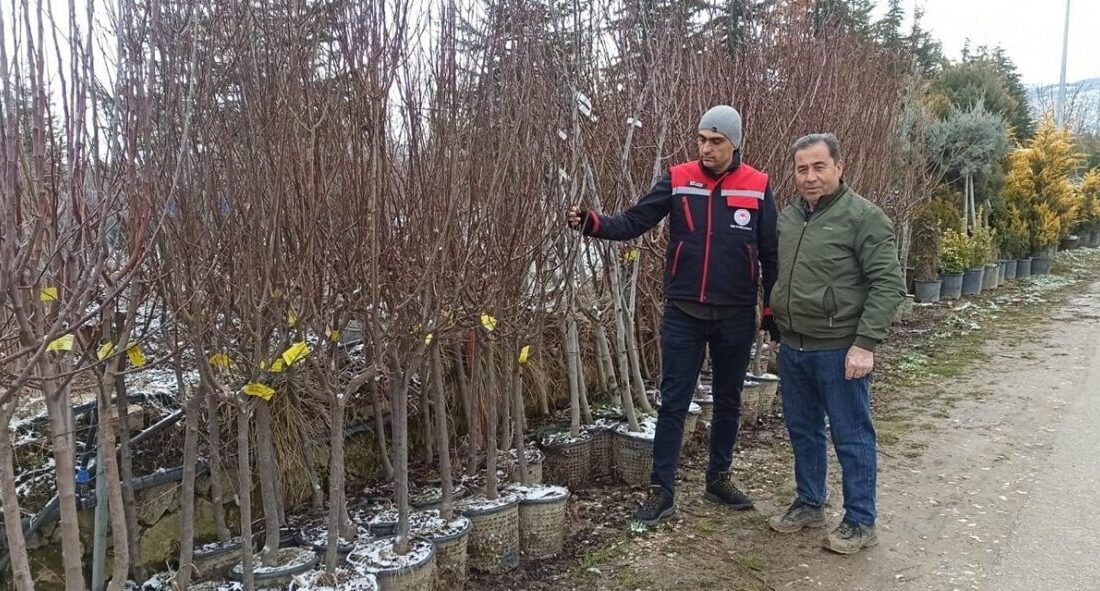 Afyonkarahisar Tarım ve Orman İl Müdürlüğü ekipleri tarafından fidan satış