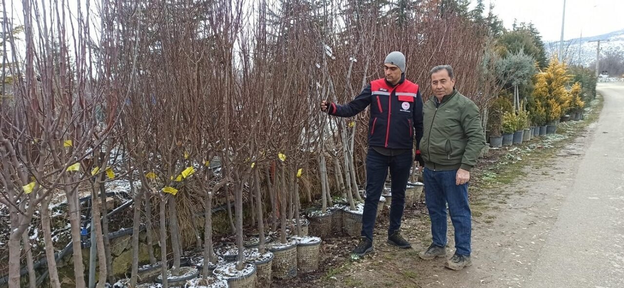 Afyonkarahisar Tarım ve Orman İl Müdürlüğü ekipleri tarafından fidan satış