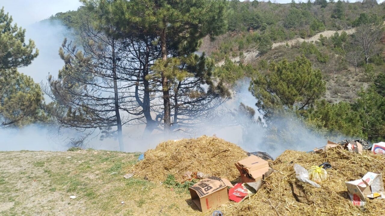 Kütahya’nın Gediz ilçesinde, Murat Dağı eteklerindeki Çukurören köyündeki orman yangını,