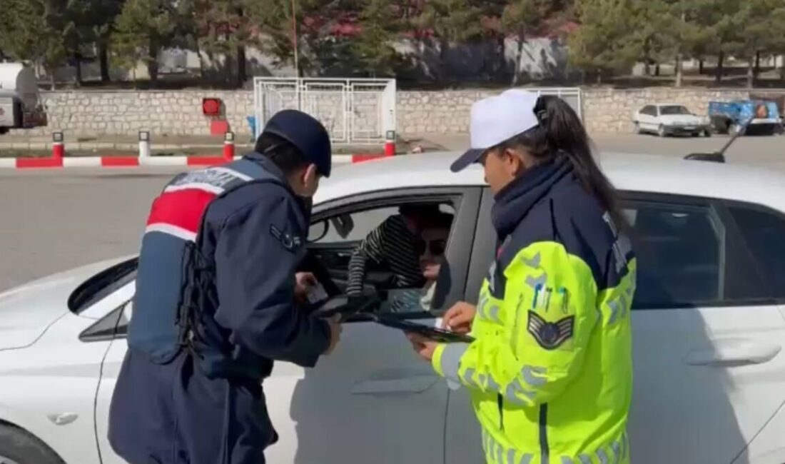 Afyonkarahisar’ın Bolvadin ilçesinde jandarma ekipleri tarafından yapılan denetimde kurallara uymadıkları
