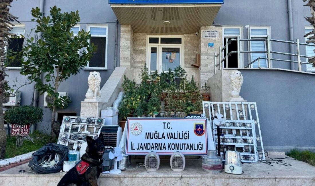 Muğla'nın Seydikemer ilçesinde düzenlenen uyuşturucu operasyonunda 1 kişi tutuklandı.