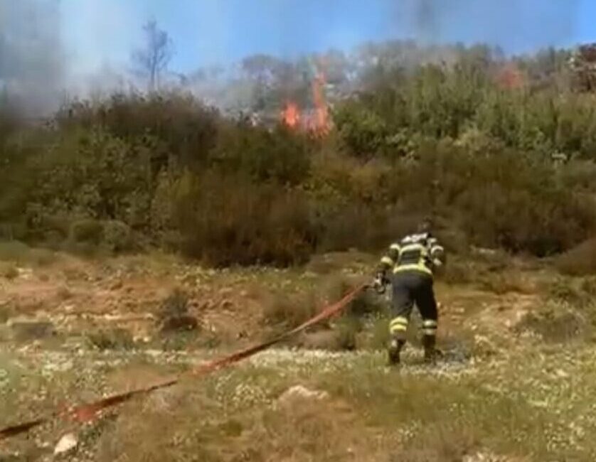 Muğla’nın Menteşe ilçesinde ormanlık ve zeytinlik alanda çıkan yangın ekiplerin
