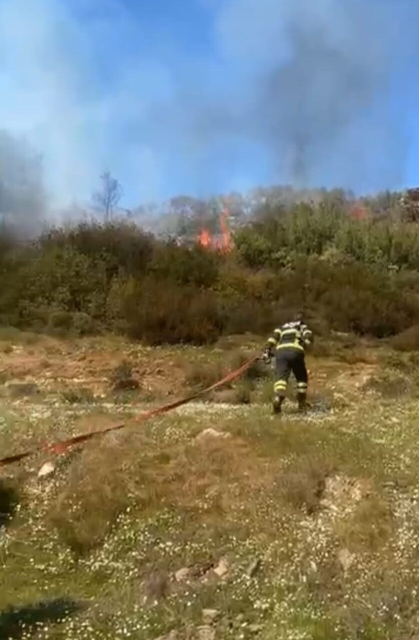 Muğla’nın Menteşe ilçesinde ormanlık ve zeytinlik alanda çıkan yangın ekiplerin