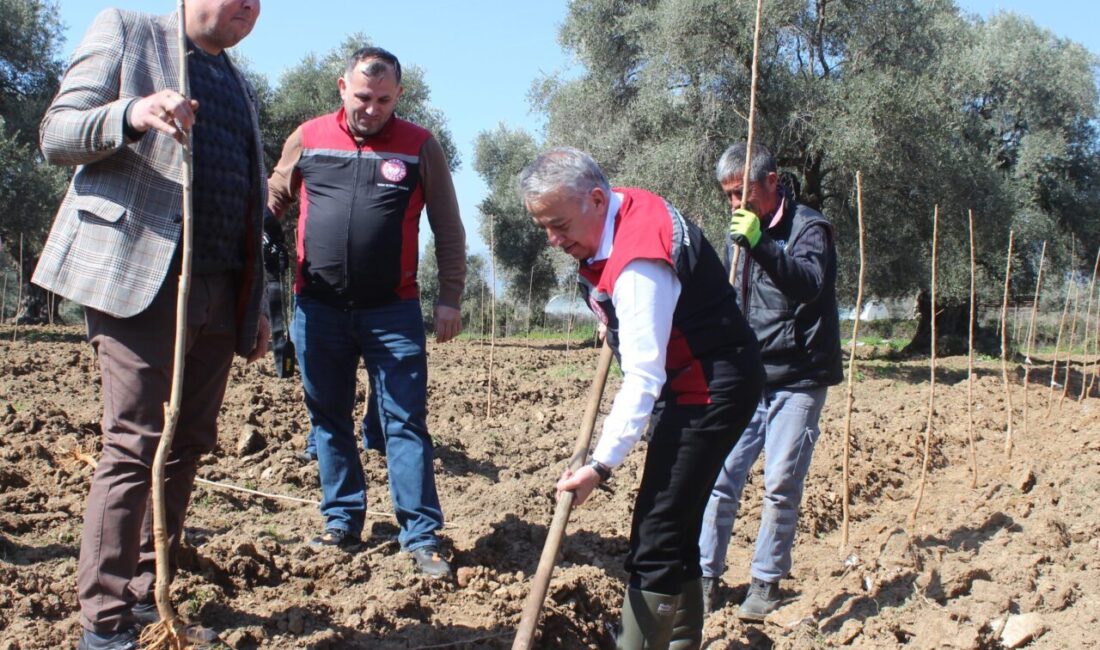 İzmir'in Ödemiş ilçesinde, ipek böceği yetiştiriciliğinde verimin artırılması amacıyla 410
