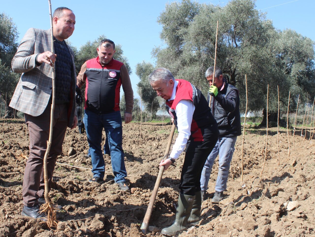 İzmir'in Ödemiş ilçesinde, ipek böceği yetiştiriciliğinde verimin artırılması amacıyla 410