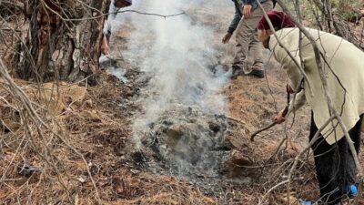Muğla'nın Köyceğiz ilçesinde ormanlık alanda yıldırım kaynaklı çıkan yangını vatandaşlar