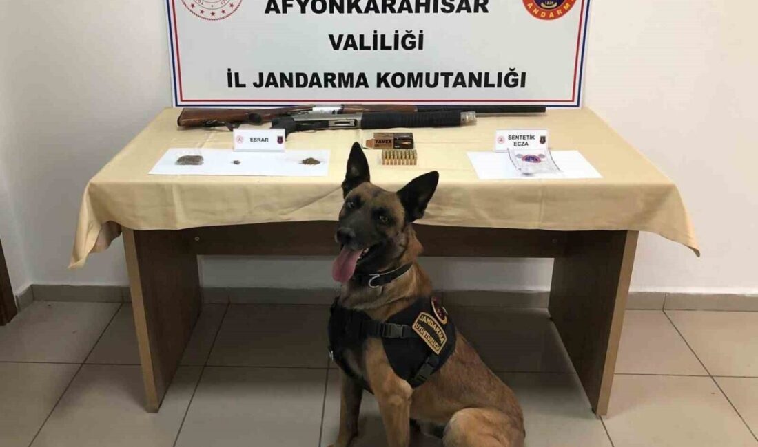 Afyonkarahisar’da jandarma tarafından düzenlenen operasyonda otopark işletmecisi şahıs uyuşturucu maddeler
