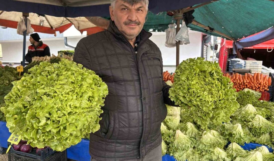 Eskişehir Yeşil Sakarya Üreticiler Birliği Başkanı Süleyman Buluşan, pazardaki yeşillik