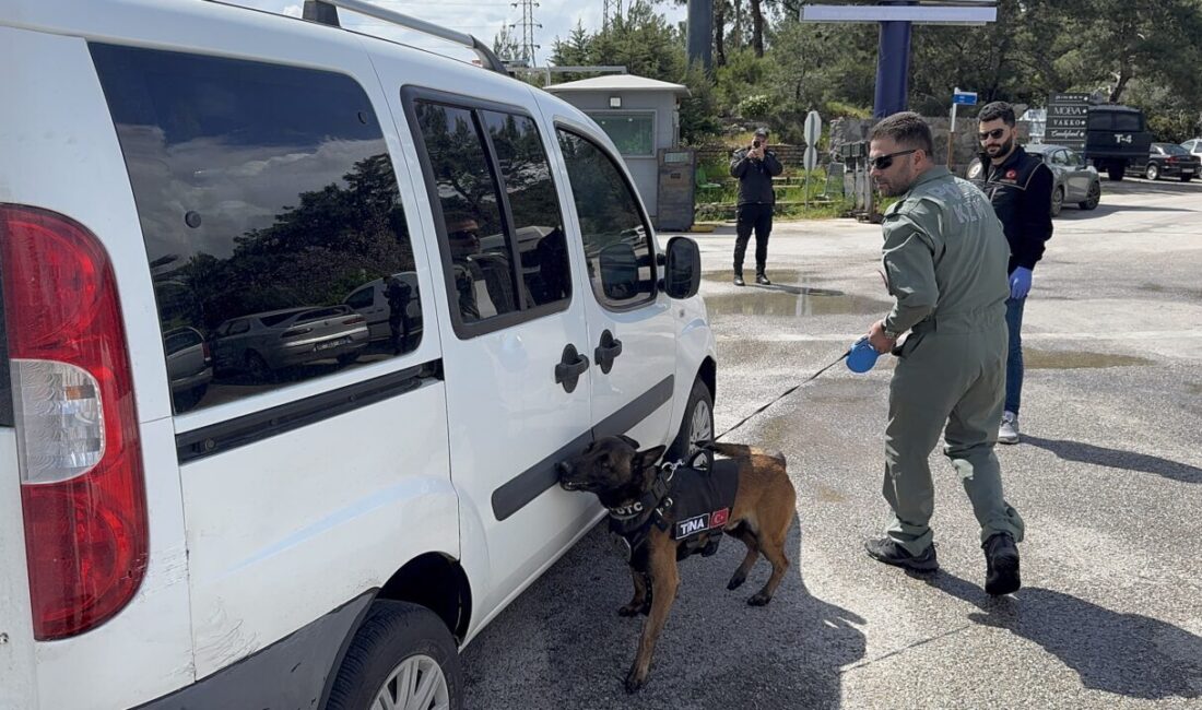 Muğla'nın Bodrum ilçesinde Ramazan Bayramı tatili dolayısıyla polis ekipleri denetimlerini
