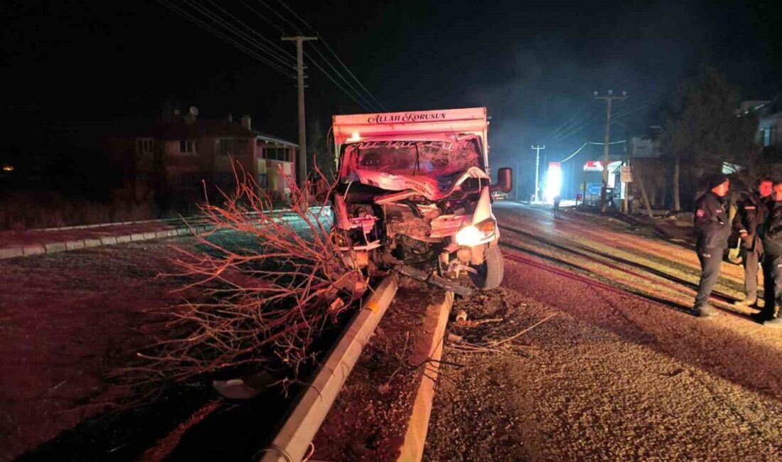 Afyonkarahisar’da kontrolden çıkan kamyonet orta refüje çıkarak ağaçları devirip, elektrik