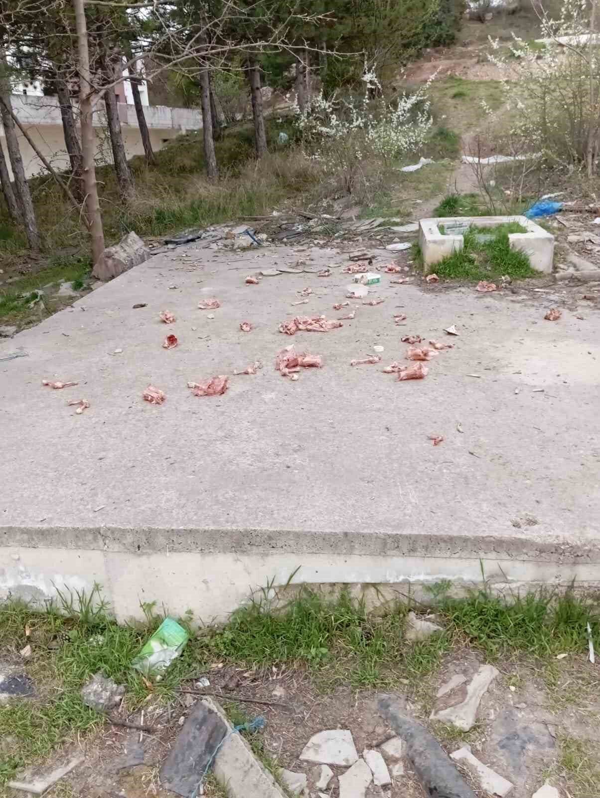 Bilecik’te çöp konteynırları ve boş arazilere sokak hayvanları için bırakılan