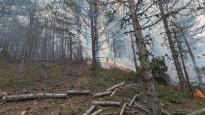 Uşak'ın Banaz ilçesinde ormanlık alanda çıkan yangın ekiplerin müdahalesiyle söndürüldü.