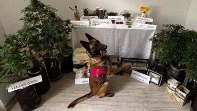 Muğla'nın Marmaris ilçesinde düzenlenen uyuşturucu operasyonunda, evinde iklimlendirme ve ışık