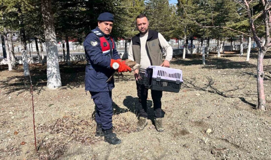 Afyonkarahisar’da vatandaşlar tarafından yaralı halde bulunan ve jandarmaya teslim edilen