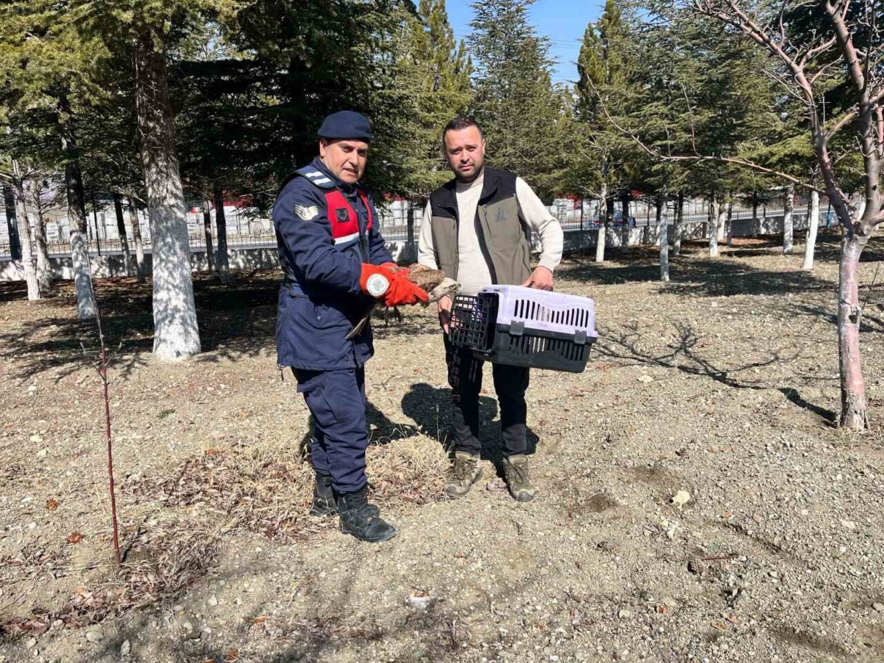 Afyonkarahisar’da vatandaşlar tarafından yaralı halde bulunan ve jandarmaya teslim edilen