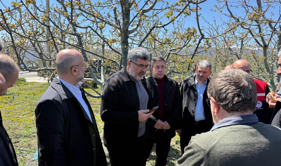 Afyonkarahisar’ın Çay ve Sultandağı ilçelerindeki ürünleri zirai don vurdu. AK