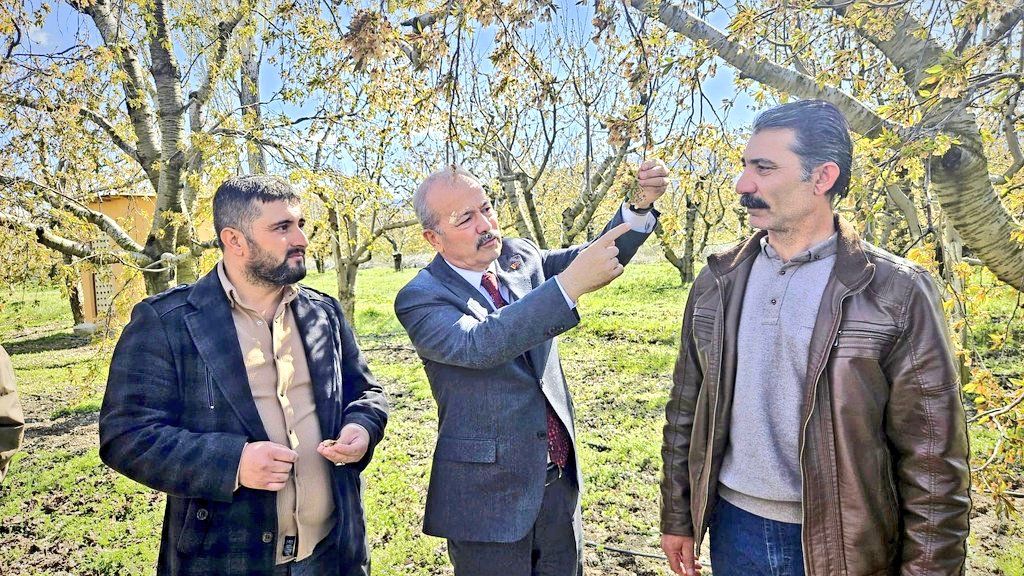 Zirai dondan etkilenen Sultandağı’nda çiftçileri ziyaret eden MHP Afyonkarahisar Milletvekili