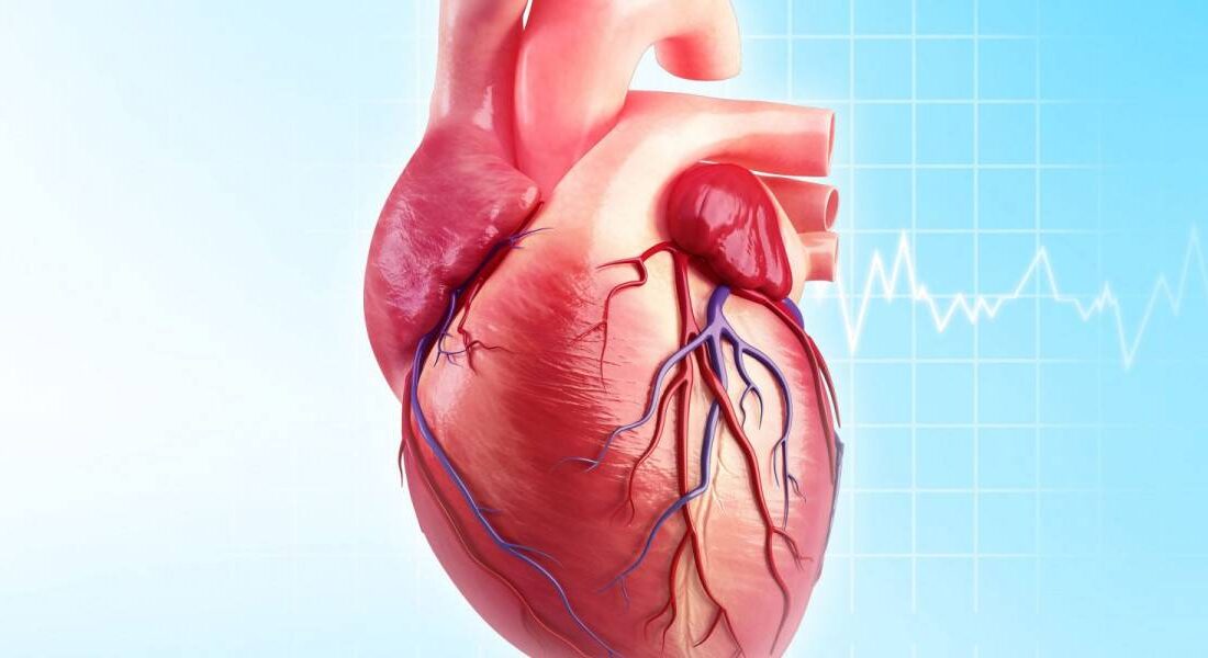 AFSÜ Sağlık Uygulama ve Araştırma Merkezi Başhekim Yardımcısı Doç. Dr.