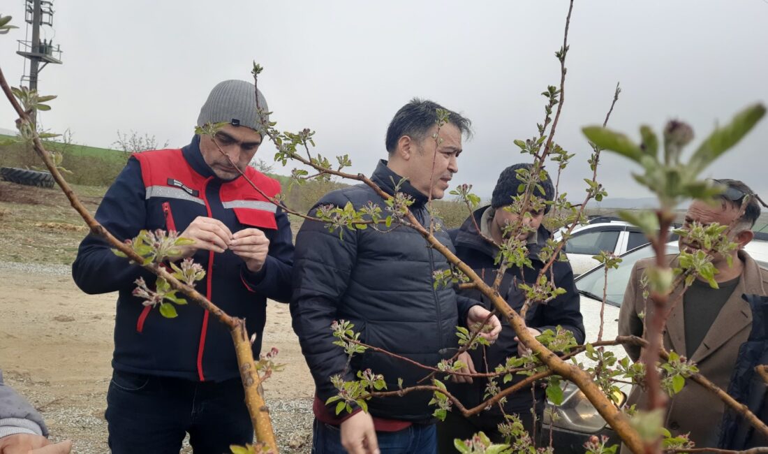 Afyonkarahisar ve çevresinde kışın yaşanmayan soğuk hava etkili oldu. Yaşanan