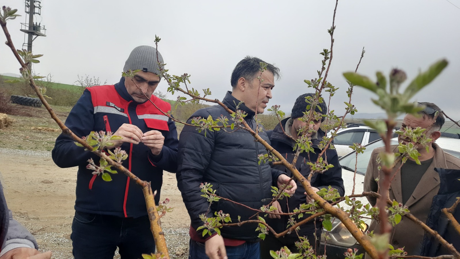 Afyonkarahisar ve çevresinde kışın yaşanmayan soğuk hava etkili oldu. Yaşanan