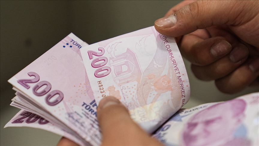 Bireysel emeklilik sistemi (BES) ve otomatik katılım sistemindeki (OKS) devlet