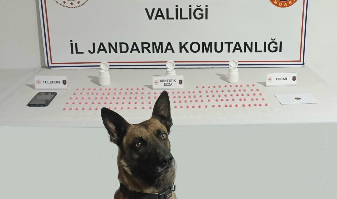 Beldeyi zehirleyecekti, Jandarma yakaladı Afyonkarahisar'da aldığı bir ihbarı değerlendiren jandarma ekipleri uyuşturucu satmaya giden