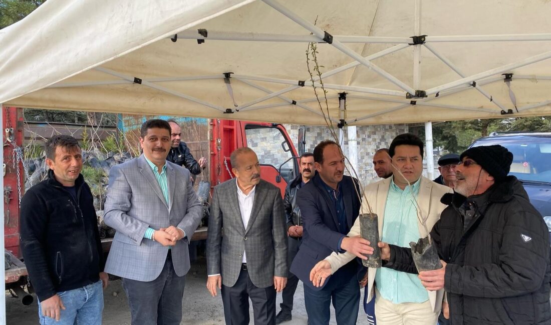 Bolvadin’de fidan dağıtıldı Milliyetçi Hareket Partisi (MHP) Afyonkarahisar Milletvekili Mehmet Taytak, Bolvadin Belediye