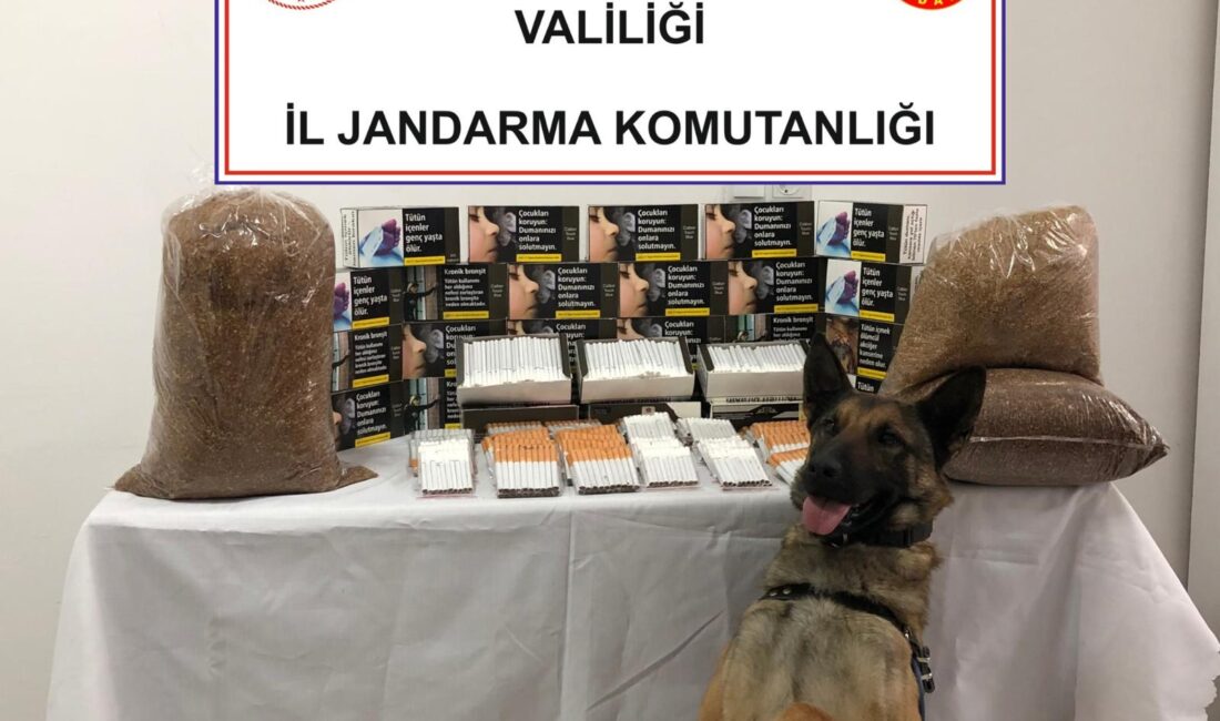Afyonkarahisar İl Jandarma Komutanlığı ekipleri, 105 paket kaçak bandrolsüz sigara,