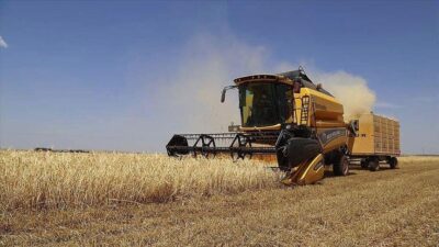 Tarımsal girdi fiyat endeksi (Tarım-GFE), Ocak’ta yıllık bazda yüzde 30,49,