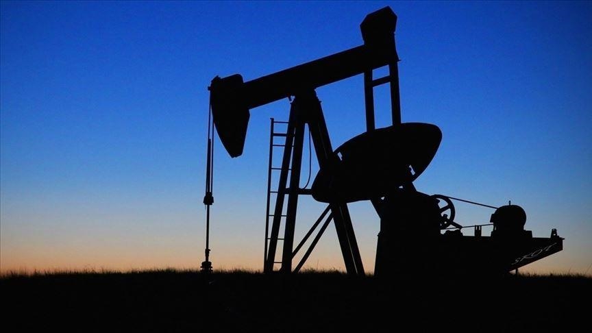 
Türkiye'nin toplam petrol ve petrol ürünleri ithalatı, Ocak’ta önceki yılın