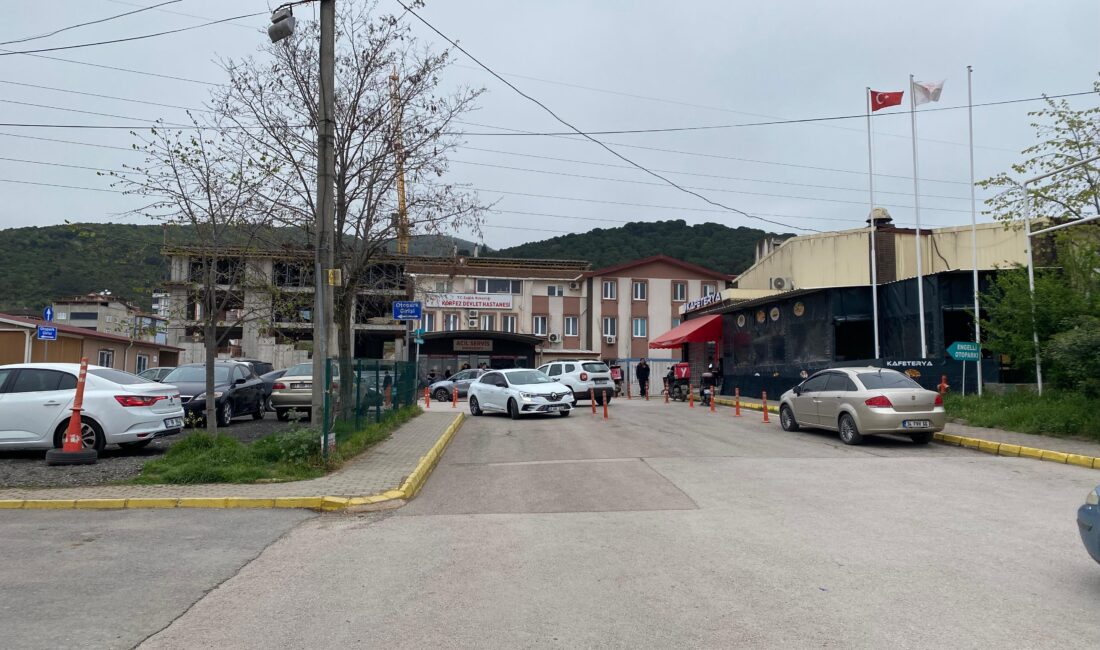 Kocaeli'nin Körfez ilçesinde yedikleri tavuk dönerden zehirlenen 648 kişi hastanelere