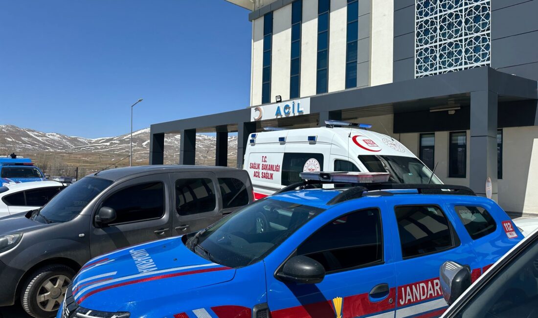 Kayseri'nin Sarız ilçesinde başıboş köpeklerin saldırdığı 72 yaşındaki adam hayatını
