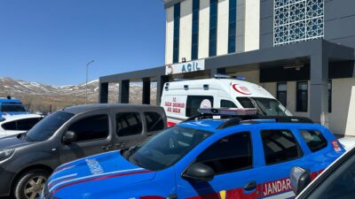 Kayseri'nin Sarız ilçesinde başıboş köpeklerin saldırdığı 72 yaşındaki adam hayatını