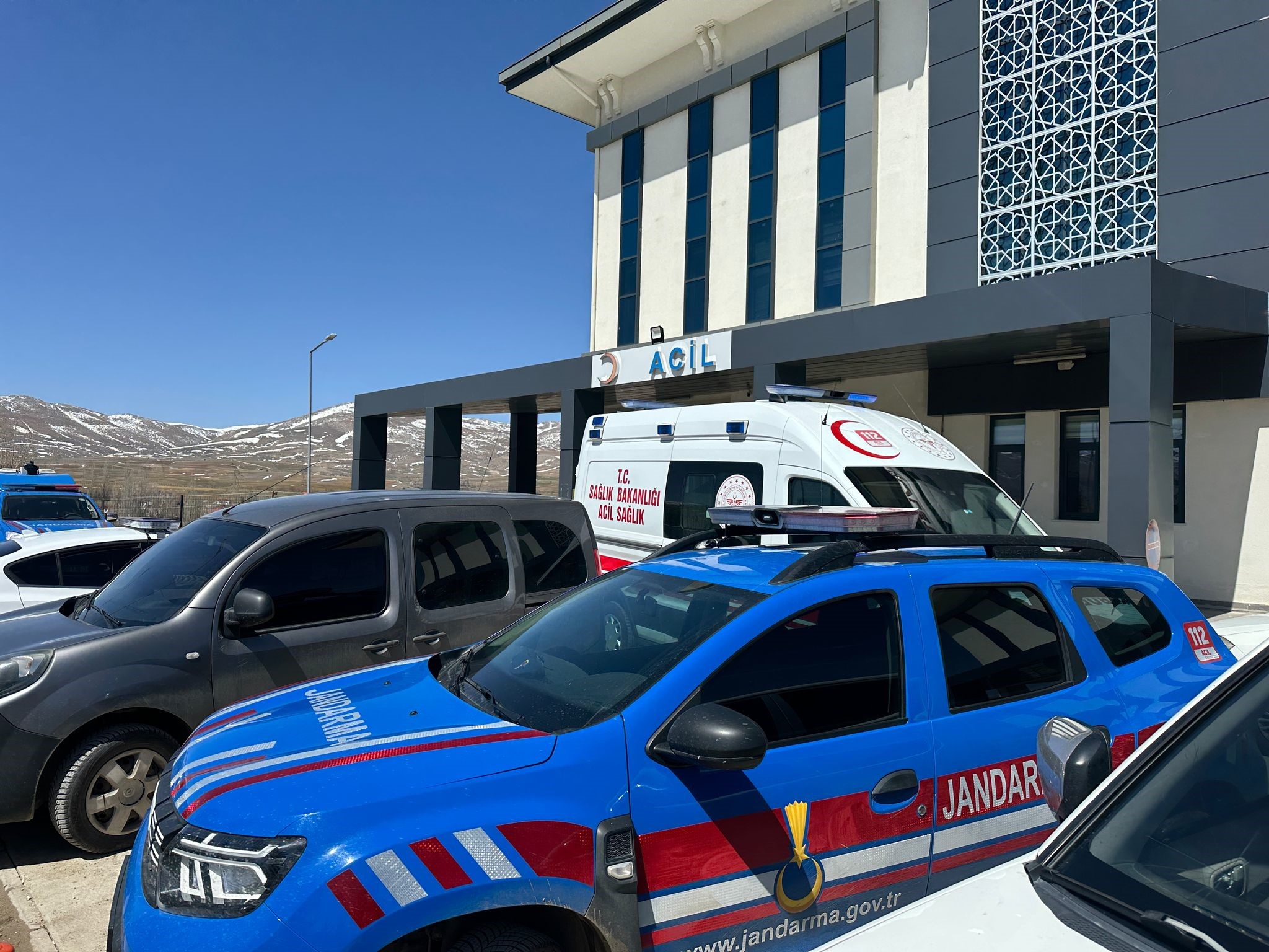 Kayseri'nin Sarız ilçesinde başıboş köpeklerin saldırdığı 72 yaşındaki adam hayatını