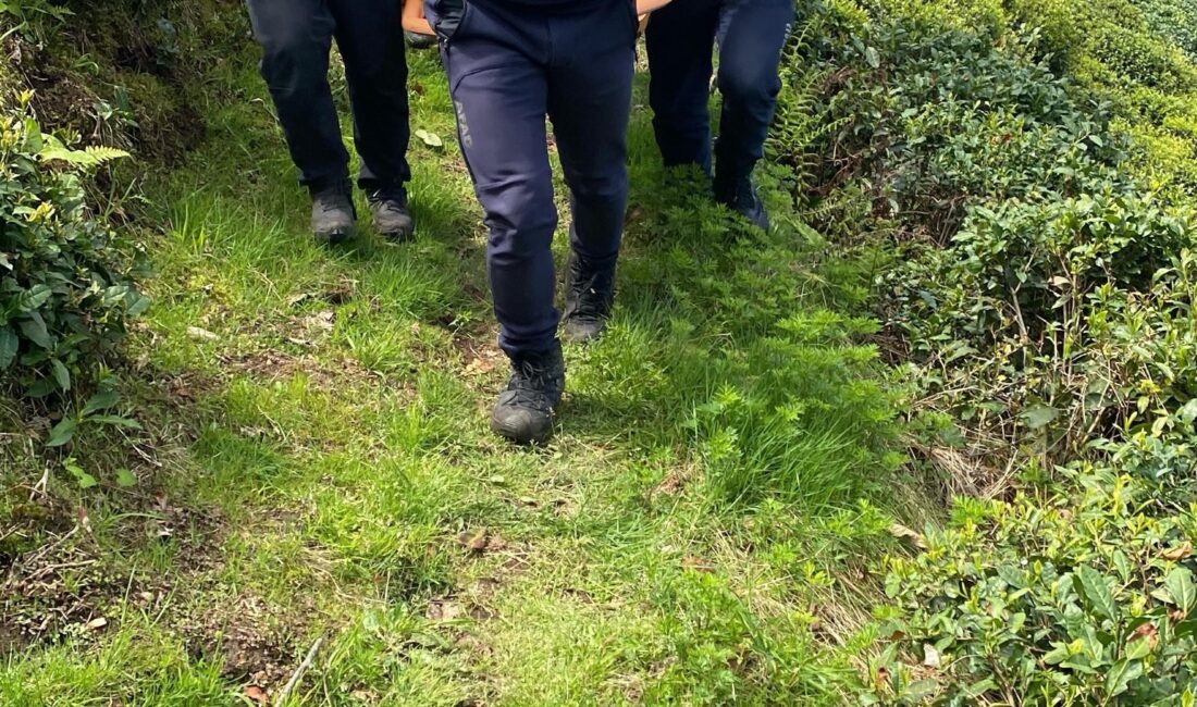 Rize’de ilkel teleferiğin sırma teline takılan şahıs düşerek hayatını kaybetti.