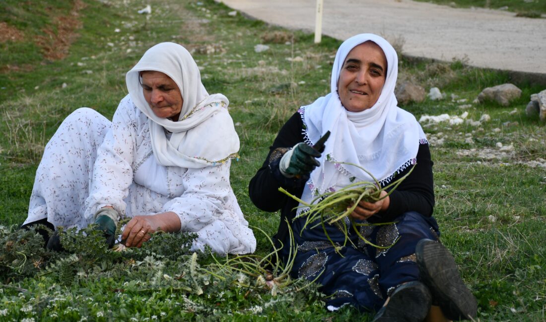  Şırnak'ta vatandaşlar, terörle anılan Bestler Dereler ve Herekol Dağı bölgesinde