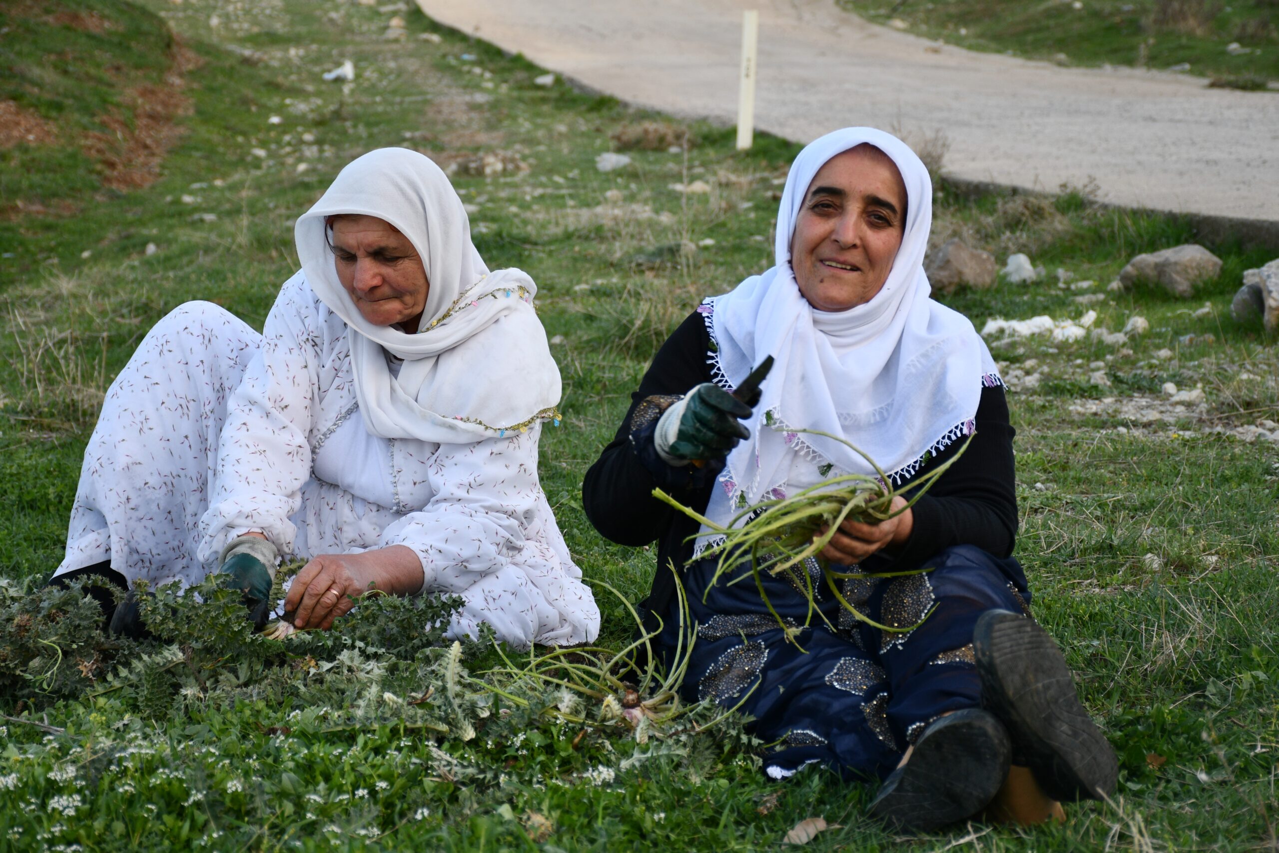  Şırnak'ta vatandaşlar, terörle anılan Bestler Dereler ve Herekol Dağı bölgesinde