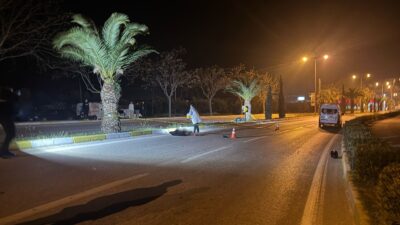  Balıkesir'in Erdek ilçesinde meydana gelen kaza, gece saat 00.30 sularında