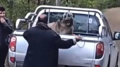 Trabzon'da kamyonet kasasında köpeğe halatla şiddet uyguladığı görüntüler sosyal medyada