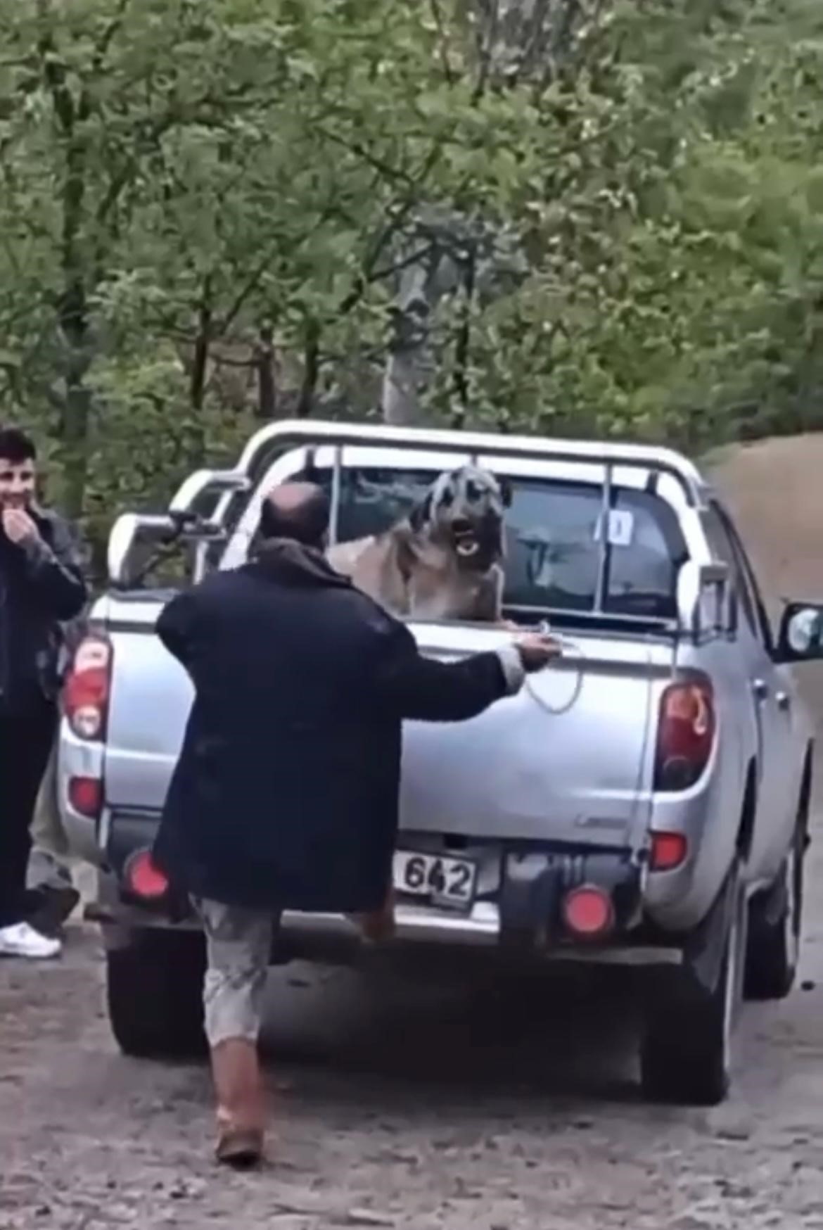 Trabzon'da kamyonet kasasında köpeğe halatla şiddet uyguladığı görüntüler sosyal medyada