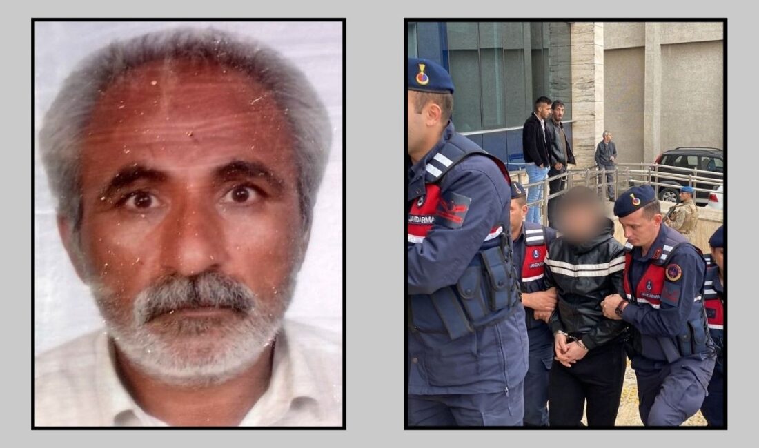 Zonguldak'ta, Afgan madencinin cesedinin yanmış halde bulunduğu olayla ilgili yargılanan