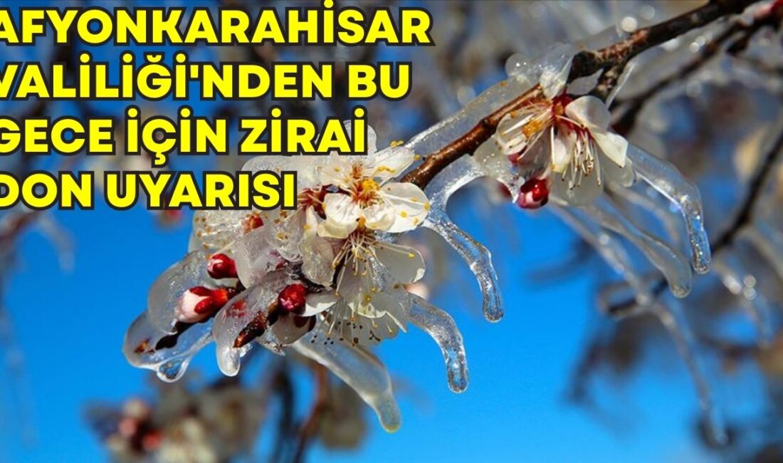 Afyonkarahisar ve çevresi için zirai don uyarısı Afyonkarahisar Valiliği'nden bu gece için zirai don uyarısı yapıldı.