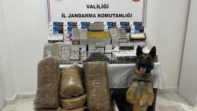 Afyonkarahisar İl Jandarma Komutanlığı ekipleri, kaçakçılıkla mücadele kapsamında yürüttükleri çalışmalar