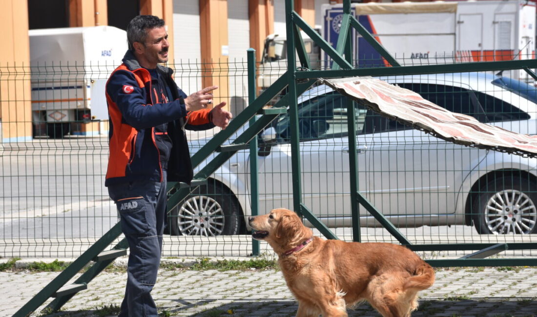- Afyonkarahisar'da görevli köpeğin eğitmeni Mesut Günaydın:
- "Bizim sürekli tetikte