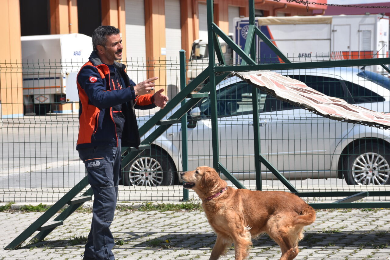- Afyonkarahisar'da görevli köpeğin eğitmeni Mesut Günaydın:
- "Bizim sürekli tetikte