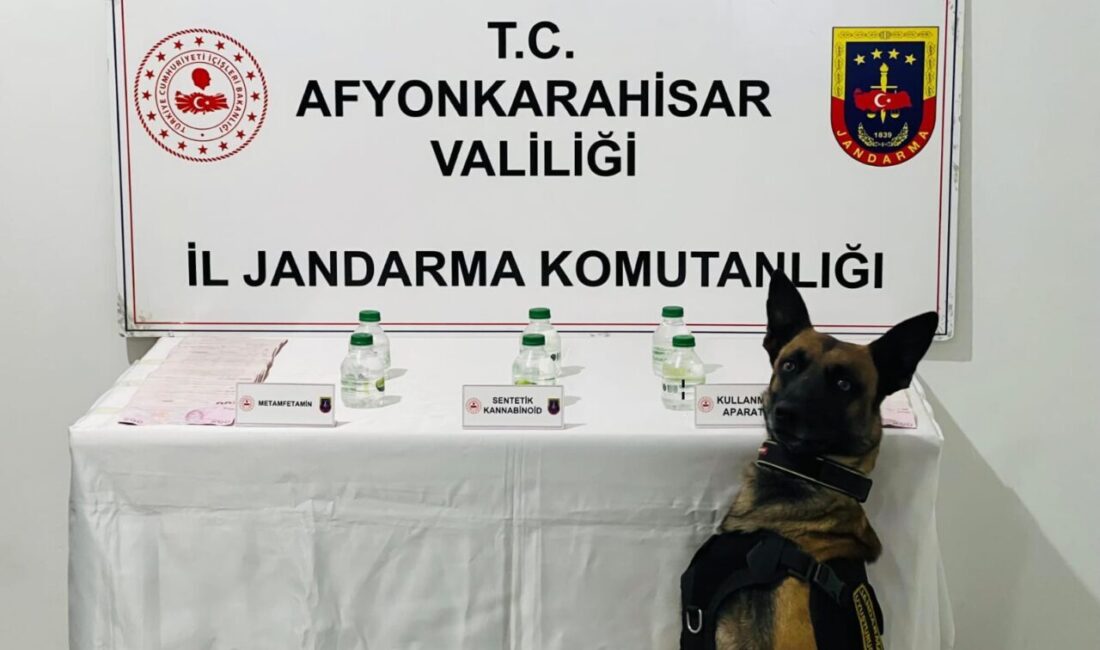 AFYONKARAHİSAR (AA) – Afyonkarahisar'da uyuşturucu operasyonunda bir şüpheli gözaltına alındı.