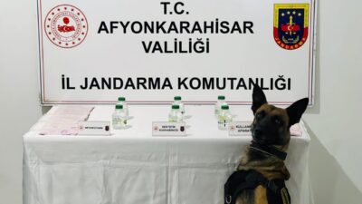 AFYONKARAHİSAR (AA) – Afyonkarahisar'da uyuşturucu operasyonunda bir şüpheli gözaltına alındı.